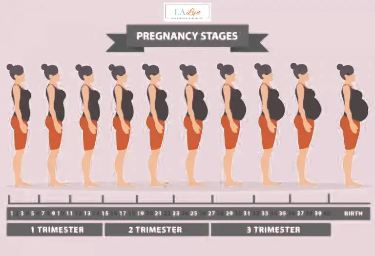 First Trimester (Weeks 1–12): Early Changes You Might Not Notice West Yorkshire
